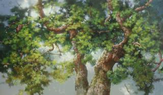 Pinetree(소나무) - 박철환