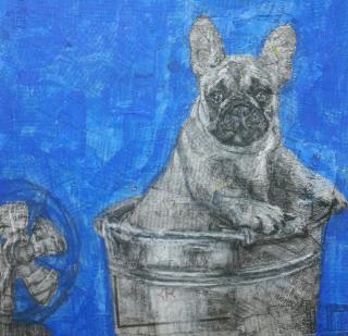 French Bulldog