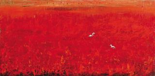 순천만의 오후-붉은갯벌
