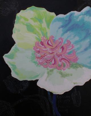 Poppy