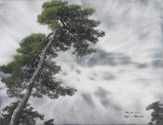 솔(Pine tree)