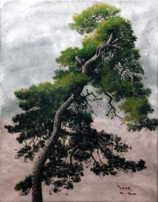 솔(Pine Tree)