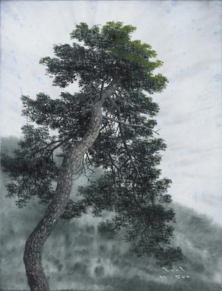 솔(Pine Tree)