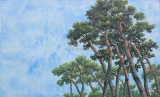 솔(Pine Tree)