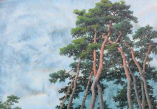 솔(pine tree)