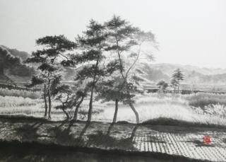 강원들녘