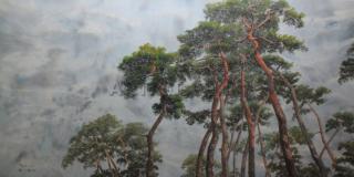 솔(pine tree)