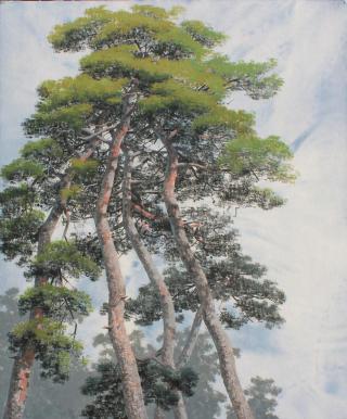 솔(pine tree)