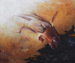 숨 - Mole cricket