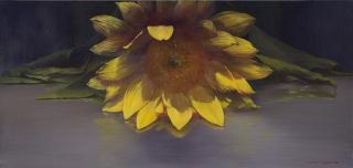 Soom-Sunflower