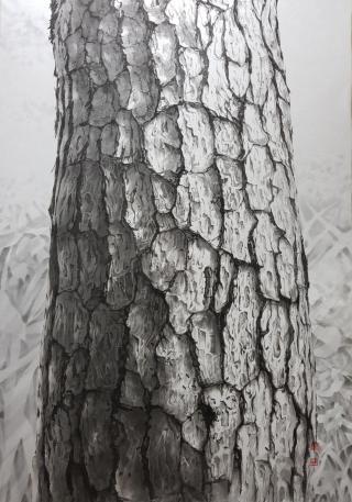 시선