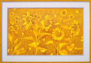 Sun flower