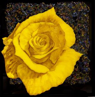 Yellow rose-Space