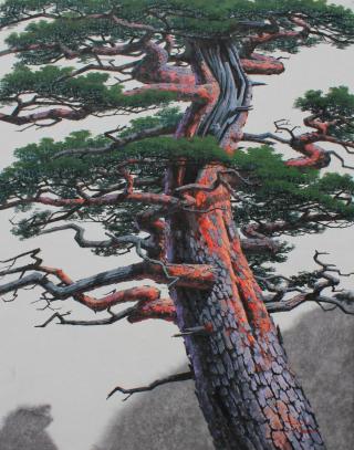 pine tree