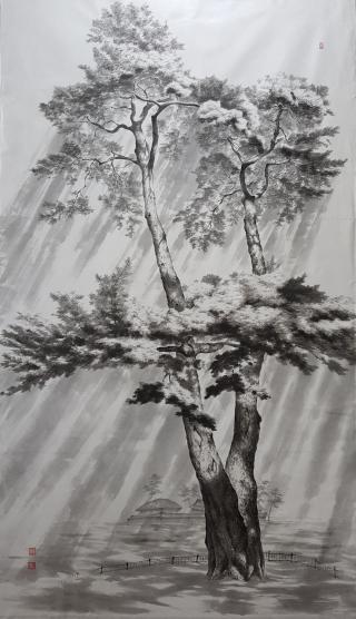 pine tree-청령포 관음송 