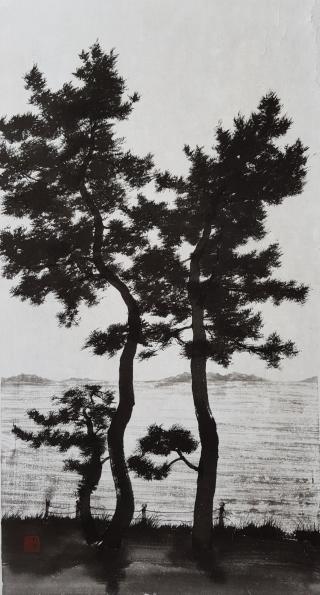 시선