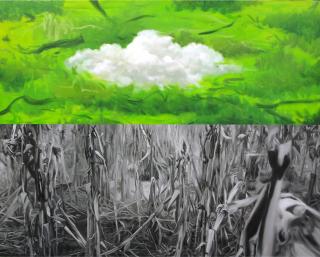 Made in Nature-Cloud & Plants 