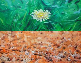 Made in Nature-Land & Flower