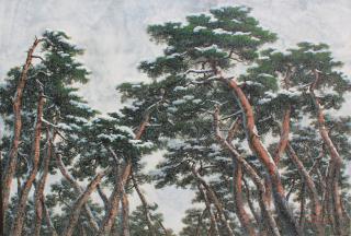 pine Tree