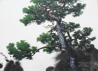 pine tree