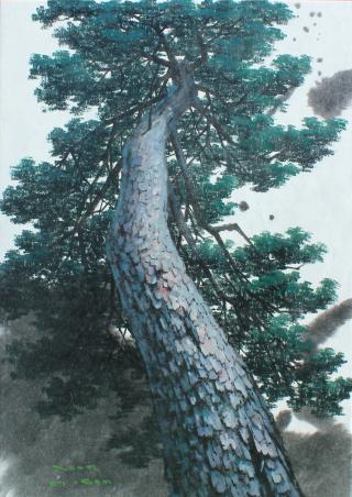 pine tree