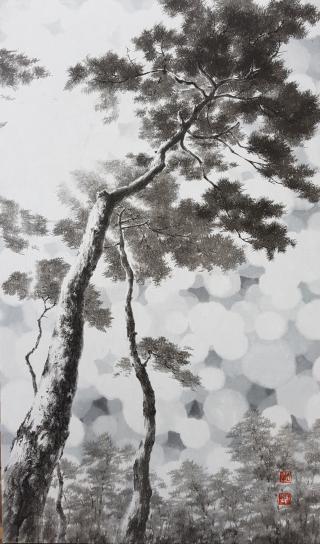 pine tree-시선