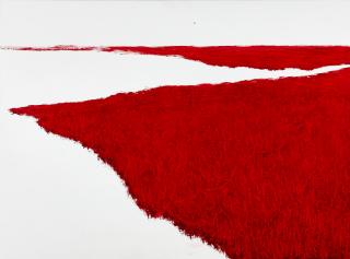 붉은갯벌 - 한임수