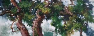 Pinetree(소나무)