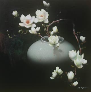 Magnolia(목련) - 박철환