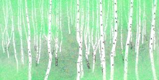 birch-white soul. NO 21-06