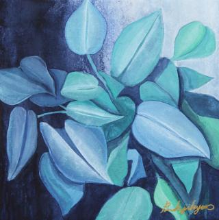 회상-Eucalyptus9