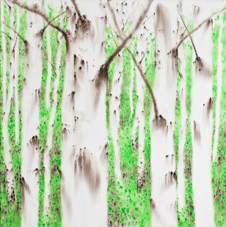 birch-white soul. NO 13-5