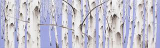 birch-white soul NO14-04