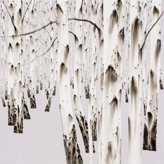 birch-white soul NO14-17