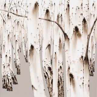 birch-white soul NO15-33