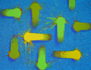 Movement 22139