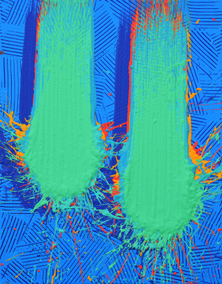Movement 22206