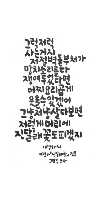 고민정-[진달래꽃]