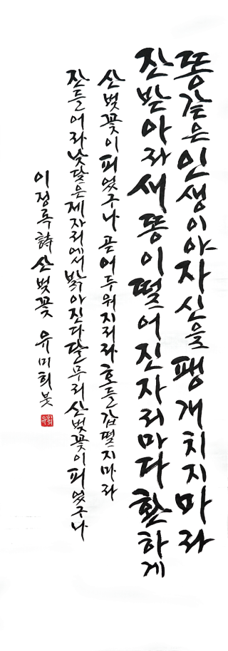 유미희-[산벚꽃]