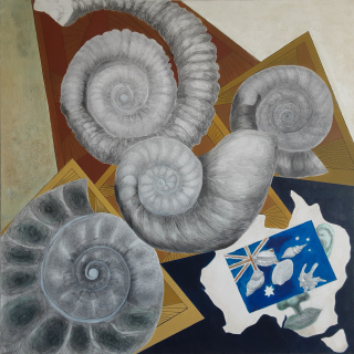 Disappeared Shells and Preserved Shells