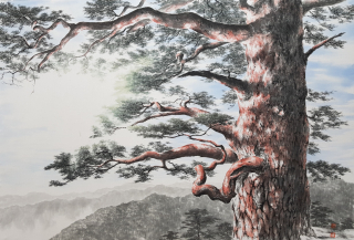 Pine Tree-올려보기 - 신은섭