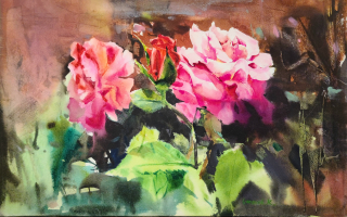 유월의 장미33