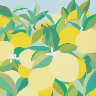 Lemon Tree