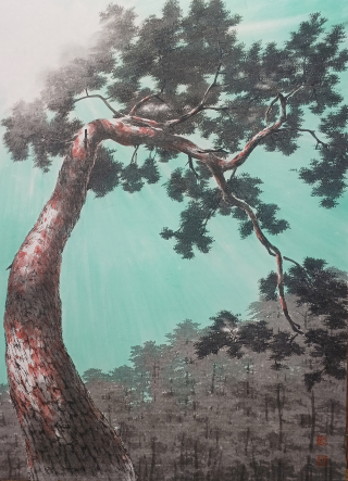 Pine Tree-올려보기