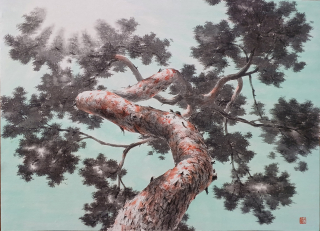 Pine Tree-올려보기