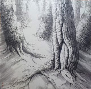 Pine Tree-시선