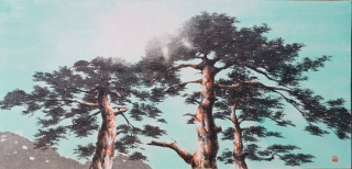Pine Tree-올려보기