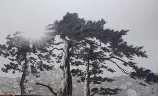 Pine Tree-올려보기