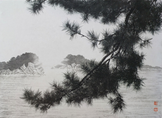 Pine Tree-시선
