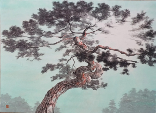 Pine Tree-올려보기